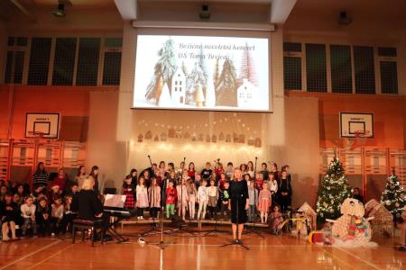 Božično-novoletni koncert Osnovne šole Toma Brejca  (14)